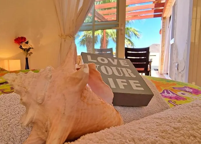 Casa vacanze Casa Oasis - - Garten - Meerblick